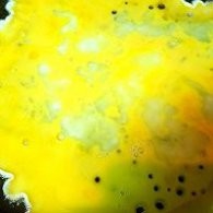 不点外卖29--猪油炒饭