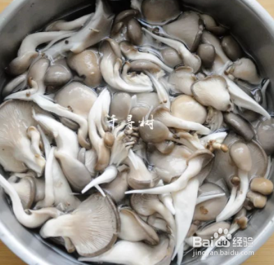 如何做平菇炒黄瓜