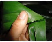 怎样自制美味粽子