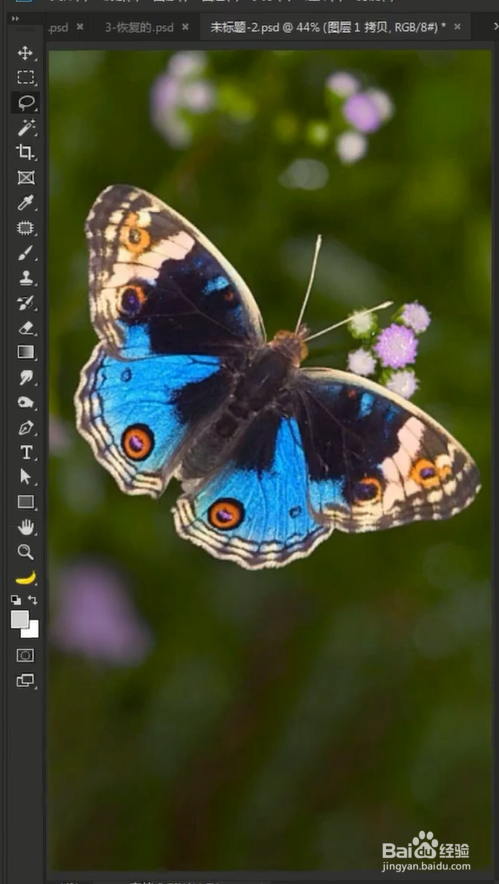 如何用ps镜像填充