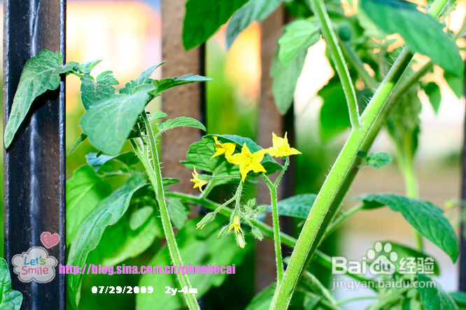 2岁4个月成长记录