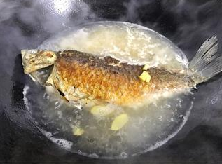 美味营养鲫鱼汤