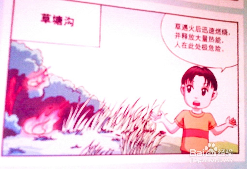 发生森林火灾时的危险地带