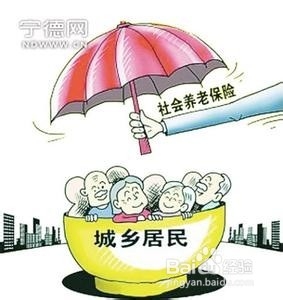 2015年城镇居民基本养老保险政策