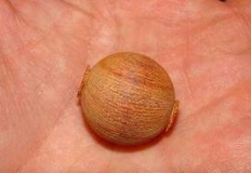 小叶紫檀盘玩方法、盘玩的步骤