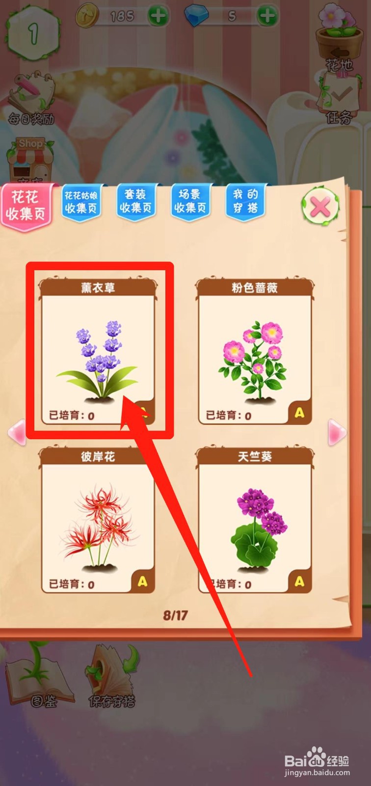 花花姑娘之魔法花园如何查看薰衣草生长速度