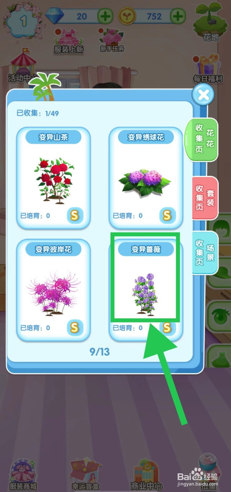 花花姑娘之魔法花园怎么查看变异蔷薇的简介