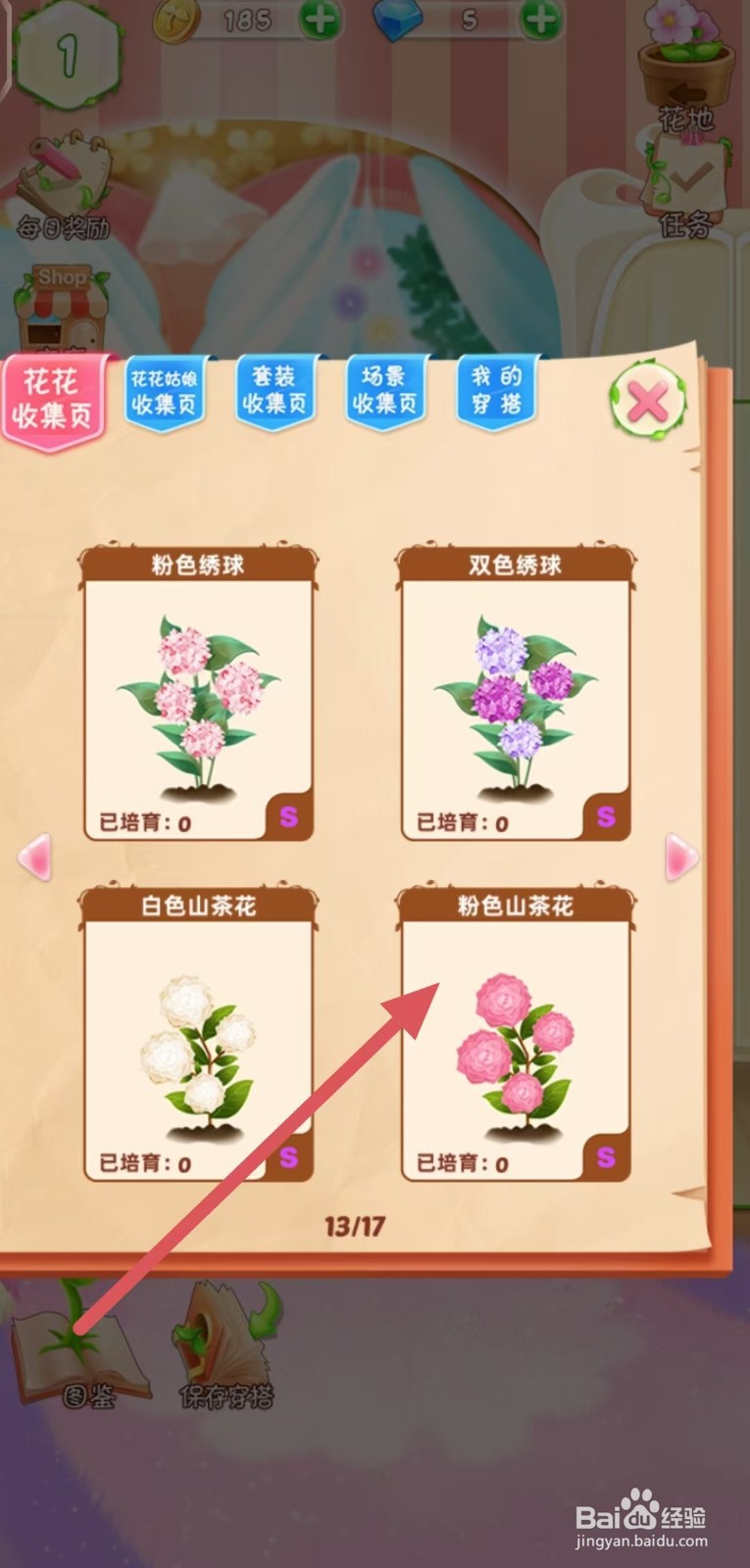 花花姑娘怎么查看粉色山茶花的生长速度