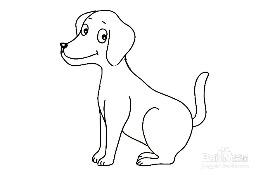 矮矮的小狗简笔画图片