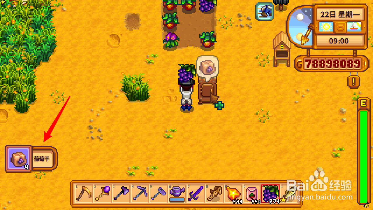 星露谷物语葡萄干怎么做