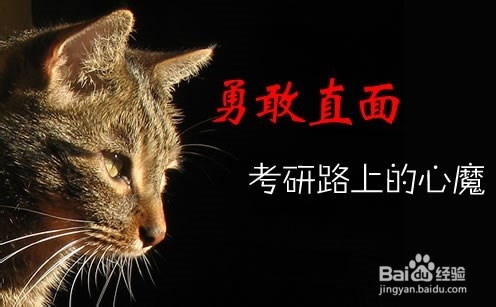 考研招生简章应该关注什么？