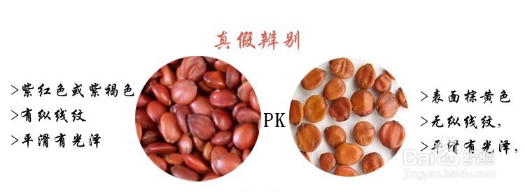 太行山酸枣仁，正宗产地，治疗失眠效果好