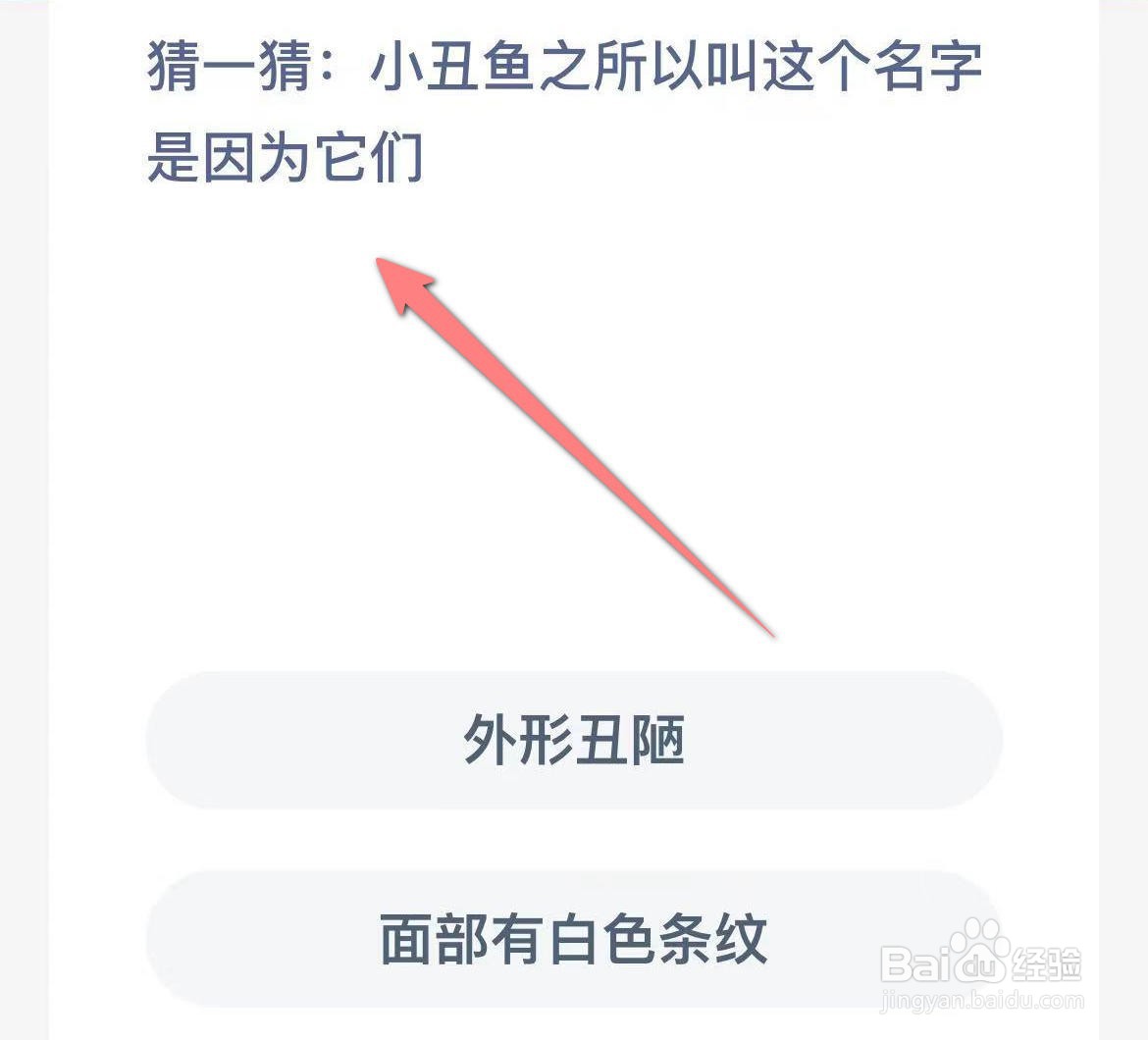 小丑鱼之所以叫这个名字是因为它们神奇海洋2.24