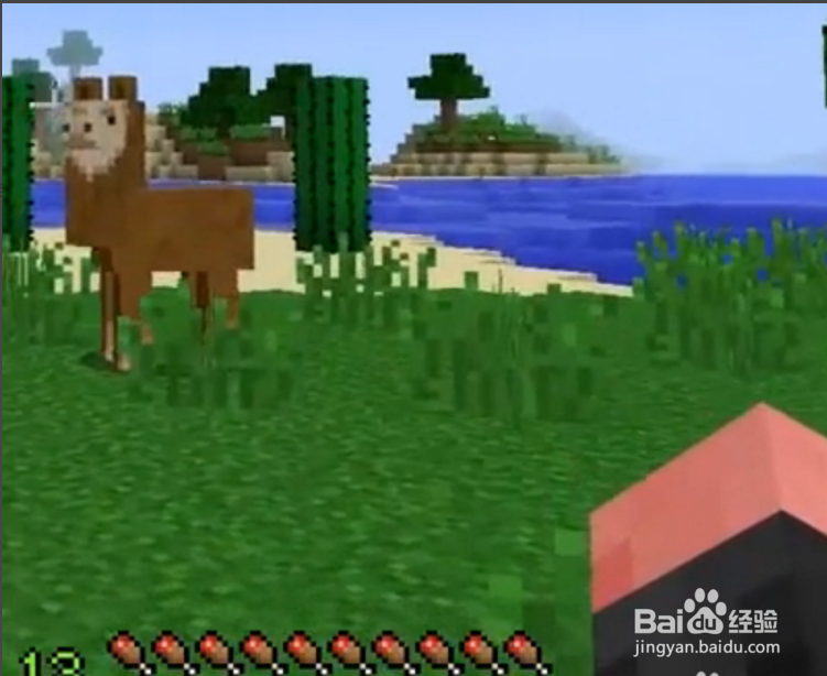 我的世界羊驼怎么骑?