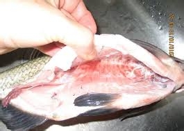 肉类的几个部位千万别吃！