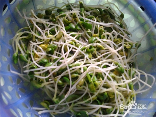 怎么醋溜长豆芽更好吃
