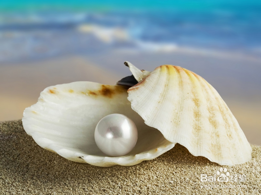 鼻子的黑头怎么去掉?珍珠粉轻松去黑头