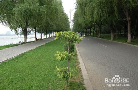 简单实用的孕妇生活技巧 生个健康的宝宝
