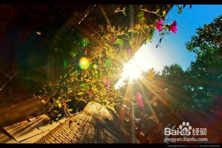 如何用手机拍出单反的效果