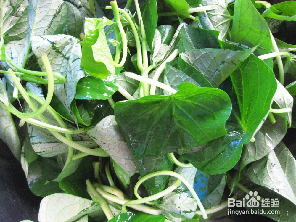 简单家常菜——蒜蓉红薯尖