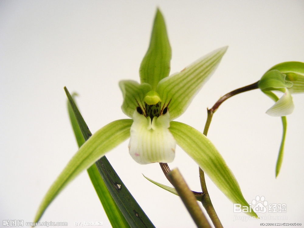 慢性支气管炎分型