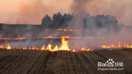 禁止焚烧秸秆，科学依据是什么？