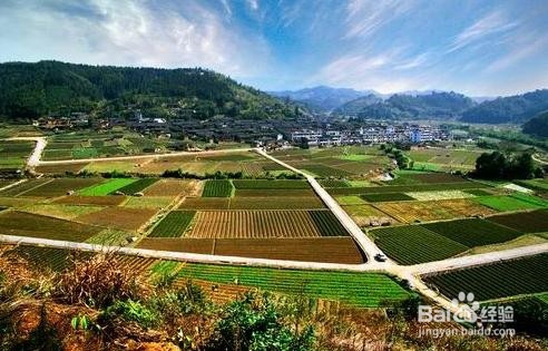 农村土地如何赚钱