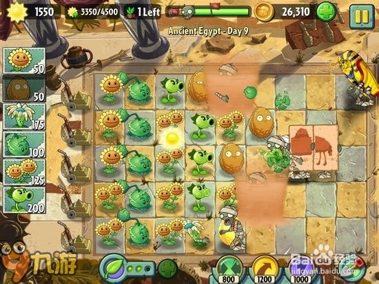 【图解】手机版《植物大战僵尸2》埃及第九关