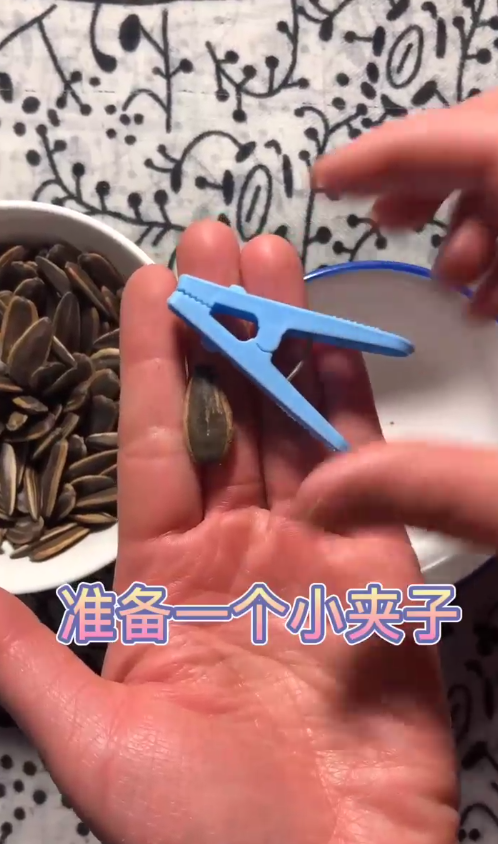 如何轻松剥瓜子