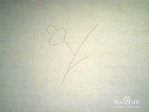 简笔画好看的叶子: