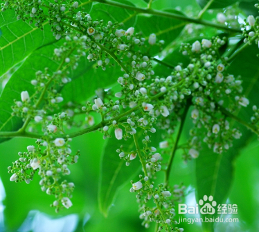 怎么研究心理学?