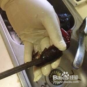 如何清洗小龙虾