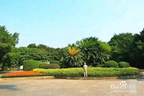 南宁金茶花公园有哪些美景