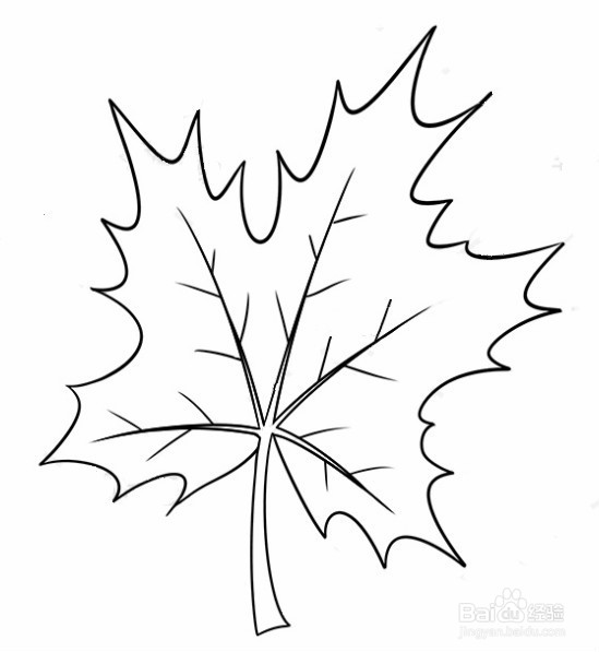 枫叶简单画法图片图片