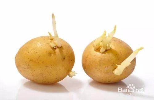 哪些食物吃了会中毒