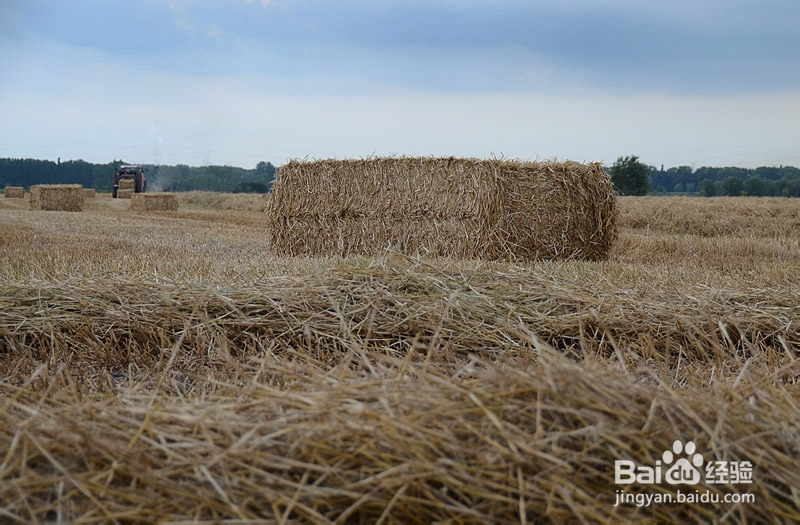 怎么样放鞭炮不伤人