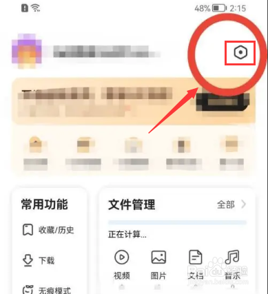 360手机浏览器设置播放器置顶如何查看