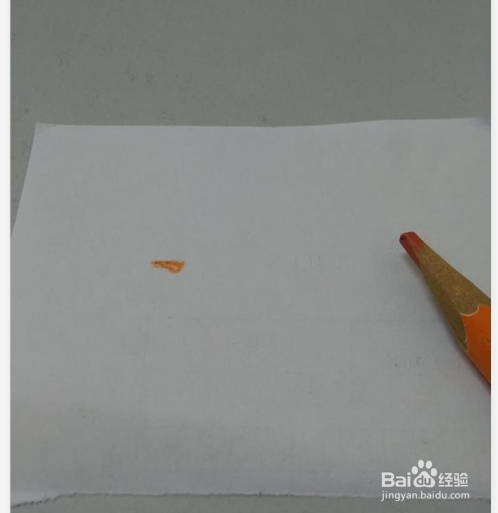 大方得体的海鸥