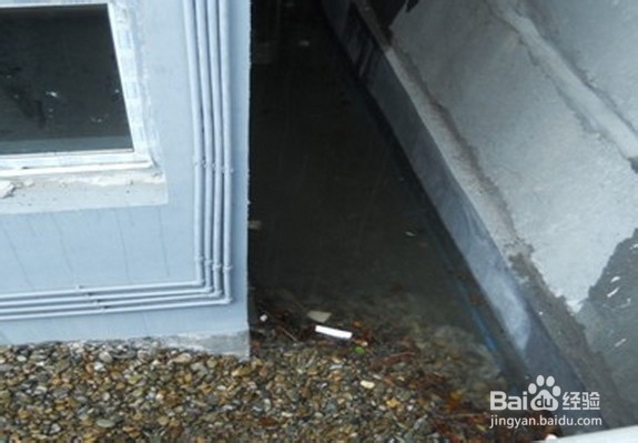 投放灭鼠药的安全注意事项