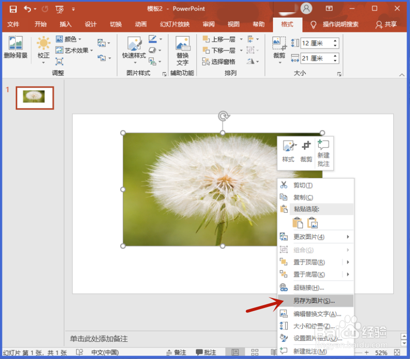 在PPT中如何用表格工具制作多格创意拼图效果