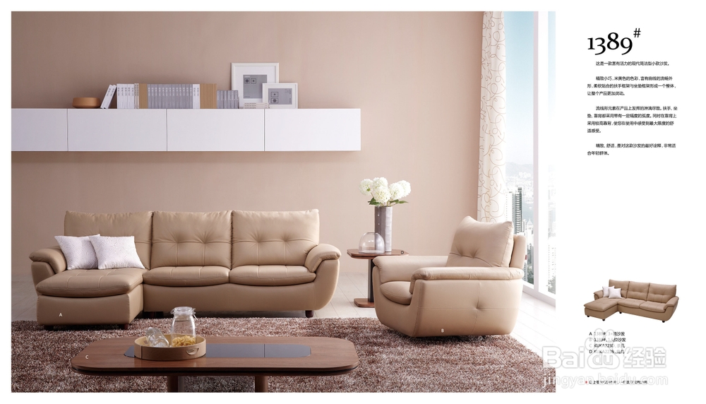 客厅中沙发的摆放法则