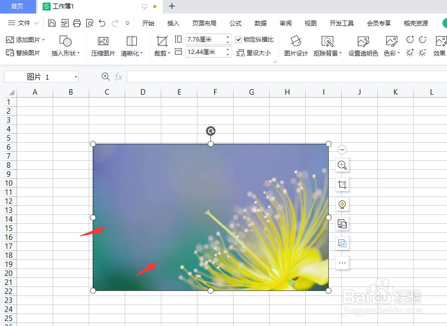 WPS表格中怎么添加图片