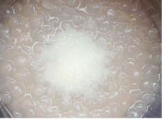 水果牛奶西米露