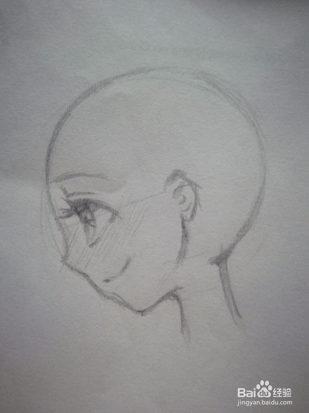 正侧面动漫人物头部和五官画法