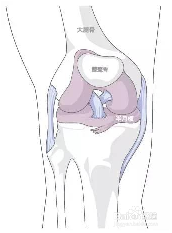 【运动课堂一】膝盖的损伤和预防