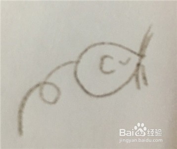 怎么画一只老鼠