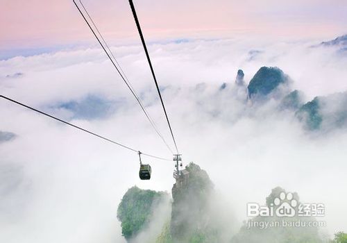 全国各地到张家界选择方式大全