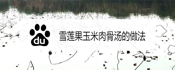 雪莲果玉米肉骨汤的做法