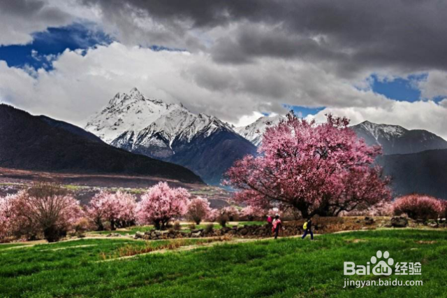 最适合秋季旅行的地方有哪些？