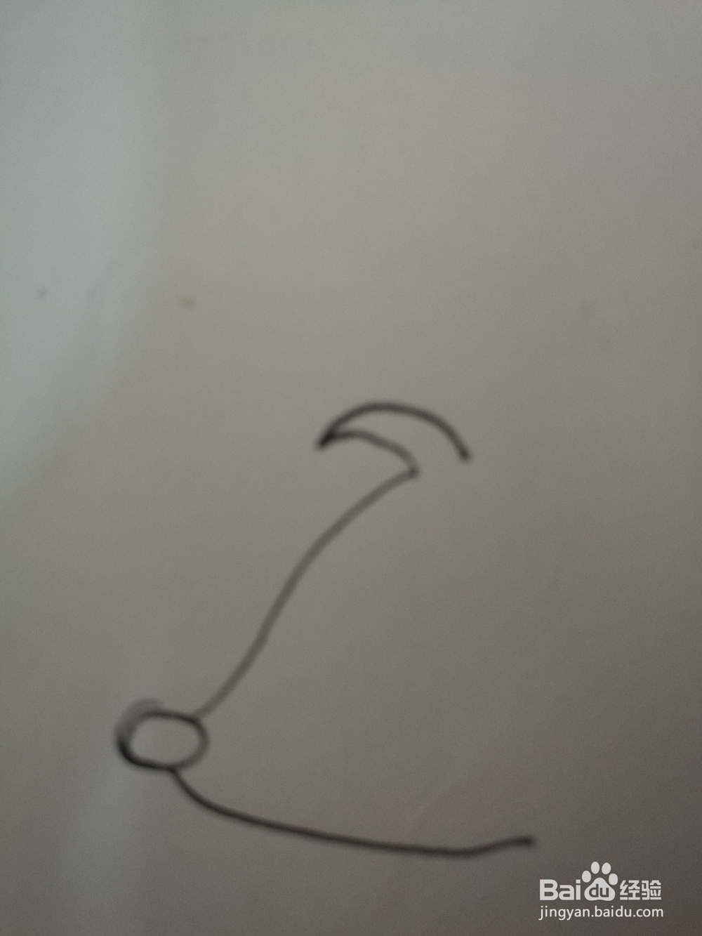 如何画一只卡通猪的简笔画